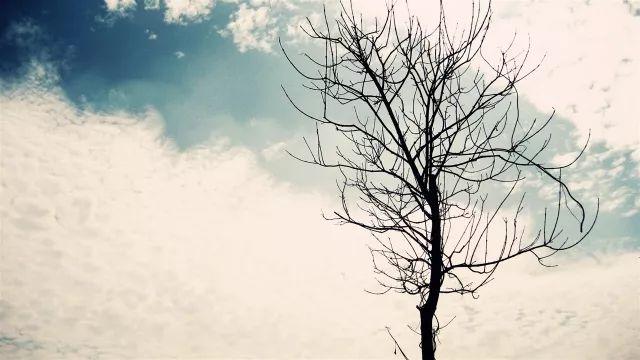 数据真空期十大焦点：揭秘行业空白期的关键关注