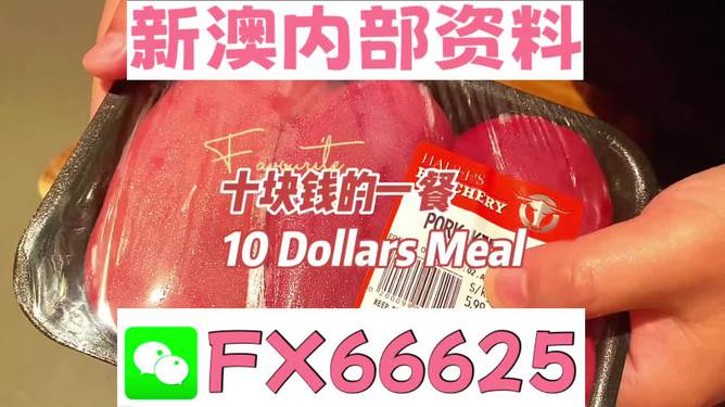 新澳资料免费精准｜精选解释解析落实