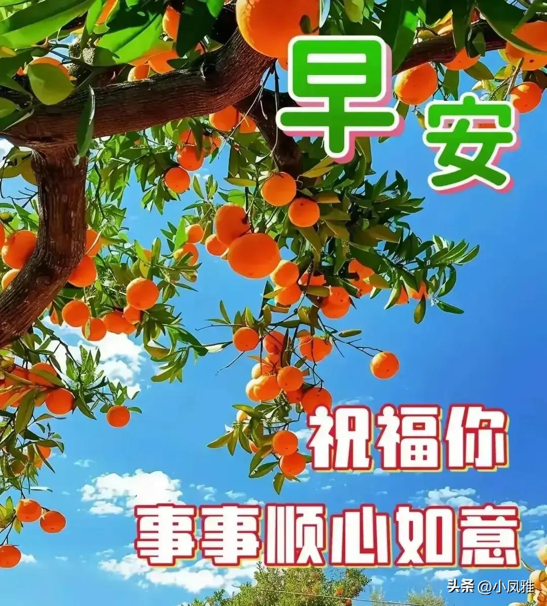 2024天天彩正版资料大全｜精选解释解析落实