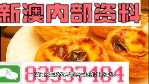 2024澳门精准正版资料大全｜精选解释解析落实