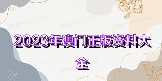 2023年澳门资料大全正版资料｜精选解释解析落实
