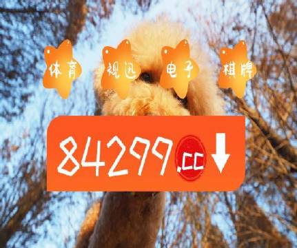澳门天天彩正版免费挂牌查询｜精选解释解析落实
